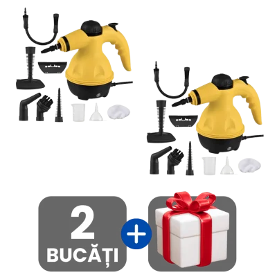 2 bucati
