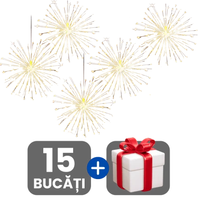3 bucati