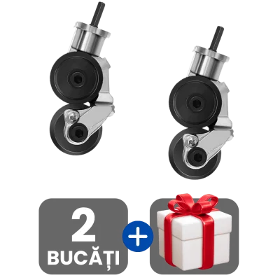 2 bucati