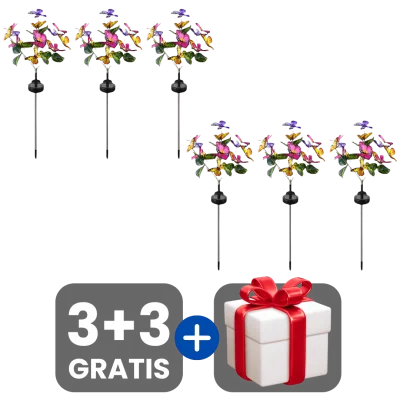 3 bucati