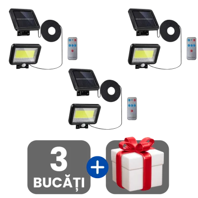 3 bucati