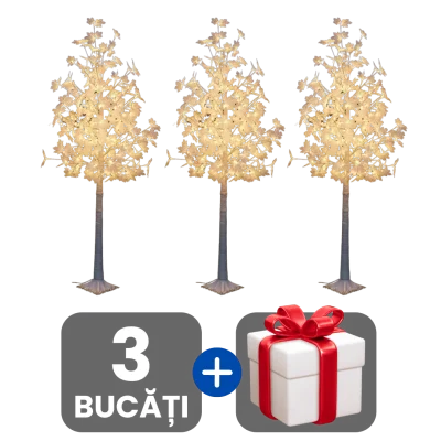 3 bucati