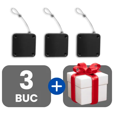 3 bucati