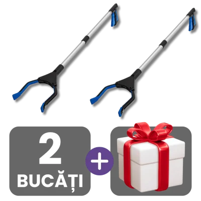 2 bucati