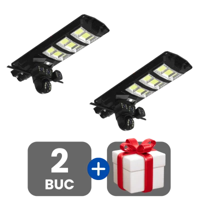2 bucati