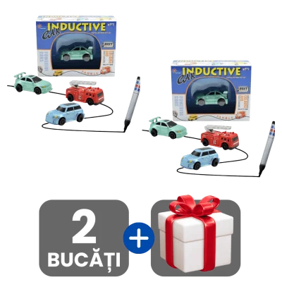 2 bucati