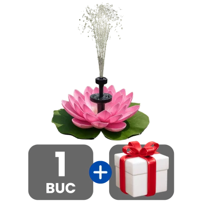 1 bucata