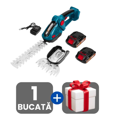 1 bucata