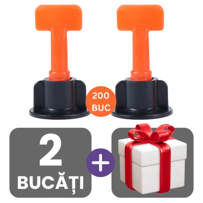 2 bucati