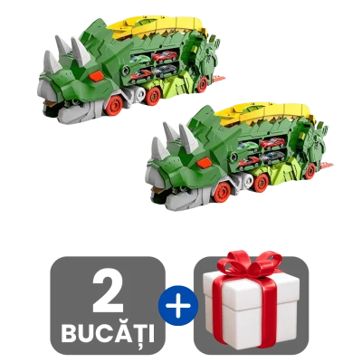 2 bucati