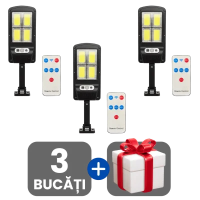 3 bucati