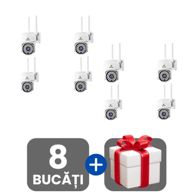 2 bucati