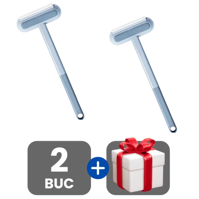 2 bucati