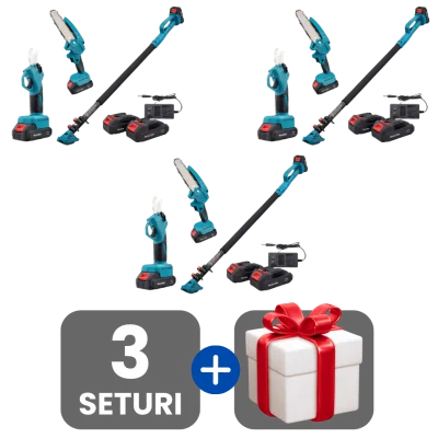 3 bucati