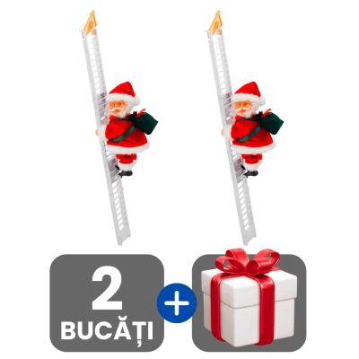 2 bucati