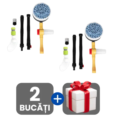 2 bucati