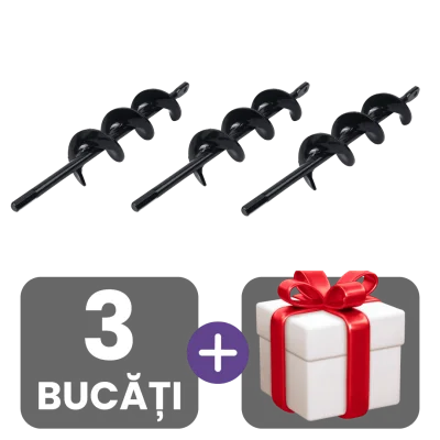 3 bucati