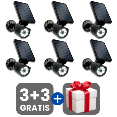 3 bucati