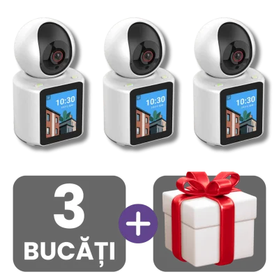 3 bucati