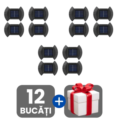3 bucati