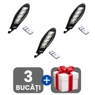 3 bucati