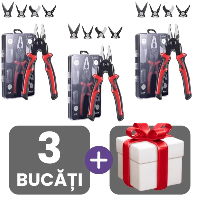 3 bucati