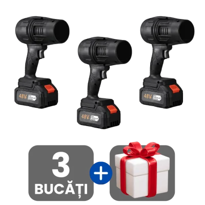 3 bucati