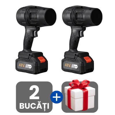 2 bucati