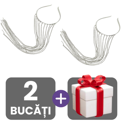 2 bucati
