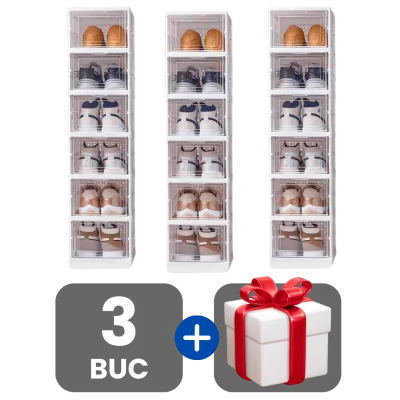3 bucati
