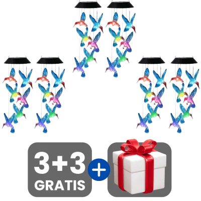 3 bucati