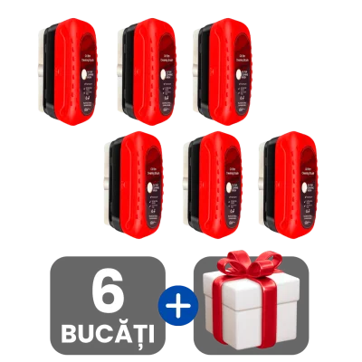 3 bucati