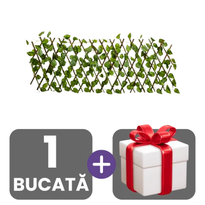 1 bucata