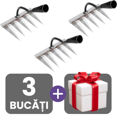 3 bucati