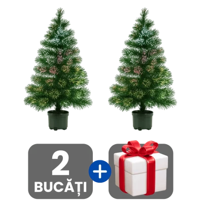2 bucati