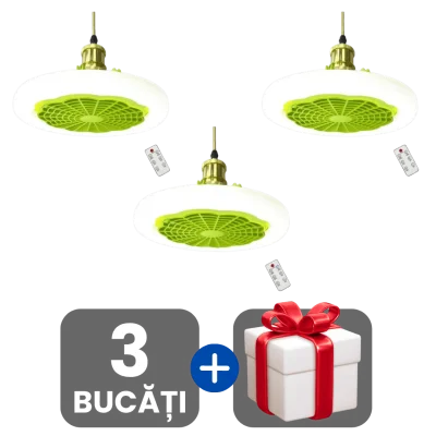 3 bucati