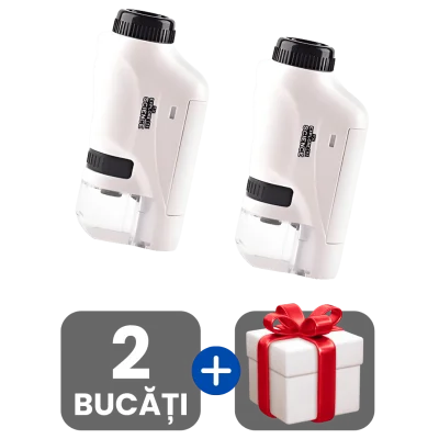 2 bucati