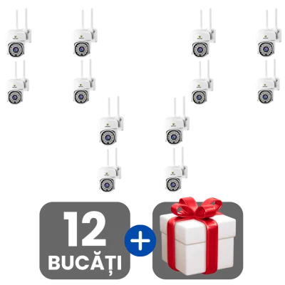 3 bucati