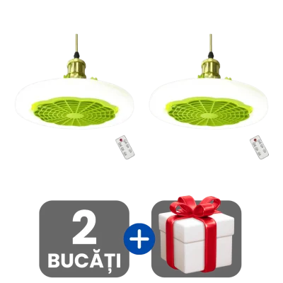2 bucati