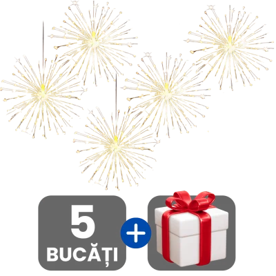 1 bucata