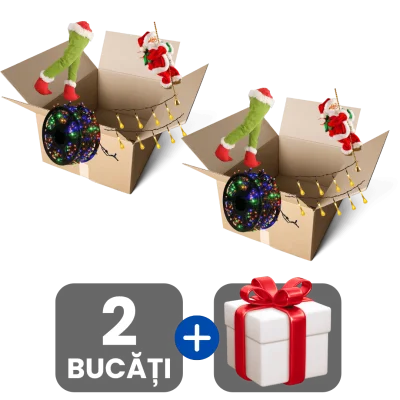 2 bucati