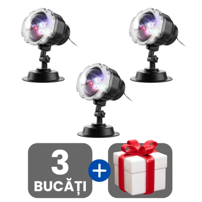 3 bucati