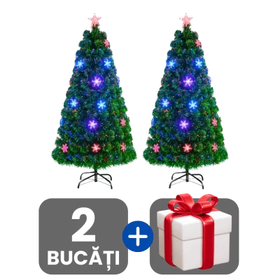 2 bucati