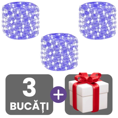 3 bucati