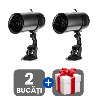 2 bucati