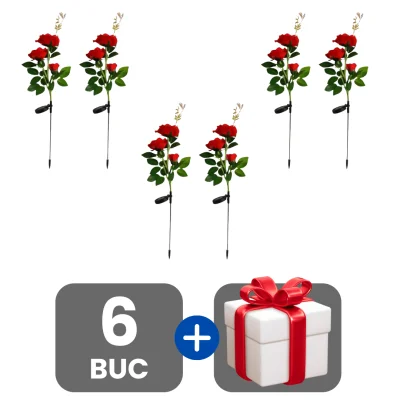 3 bucati