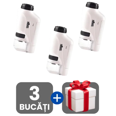 3 bucati