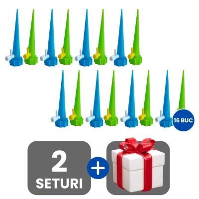 2 bucati