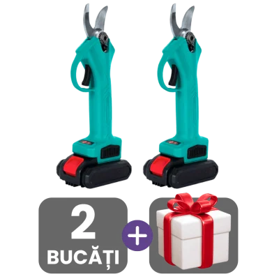 2 bucati