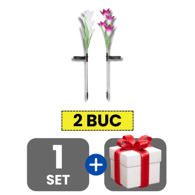 1 bucata